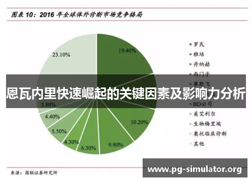 恩瓦内里快速崛起的关键因素及影响力分析