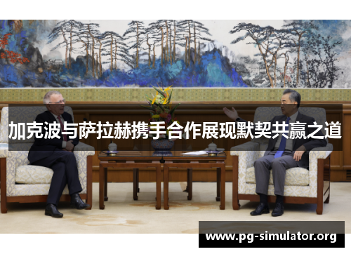 加克波与萨拉赫携手合作展现默契共赢之道