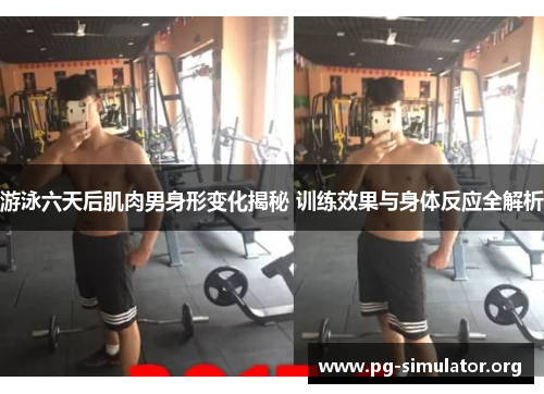 游泳六天后肌肉男身形变化揭秘 训练效果与身体反应全解析