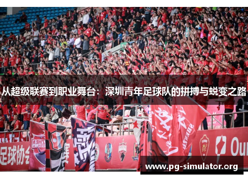 从超级联赛到职业舞台：深圳青年足球队的拼搏与蜕变之路