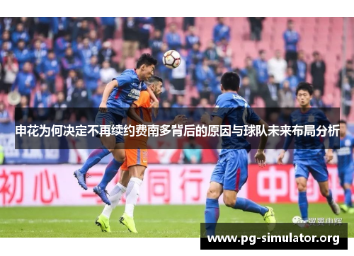申花为何决定不再续约费南多背后的原因与球队未来布局分析