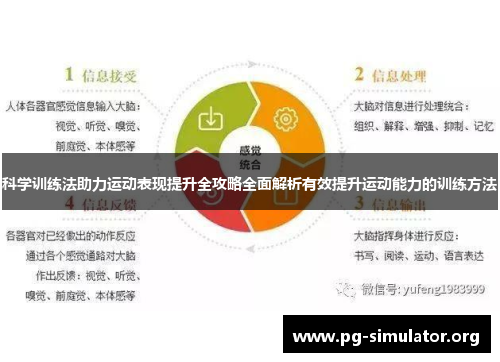科学训练法助力运动表现提升全攻略全面解析有效提升运动能力的训练方法