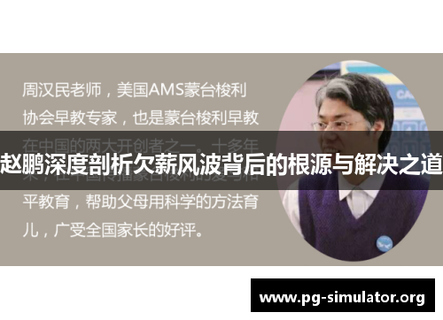 赵鹏深度剖析欠薪风波背后的根源与解决之道