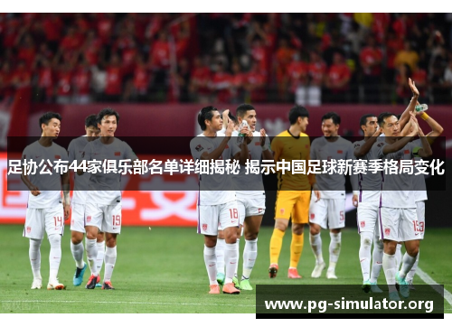足协公布44家俱乐部名单详细揭秘 揭示中国足球新赛季格局变化