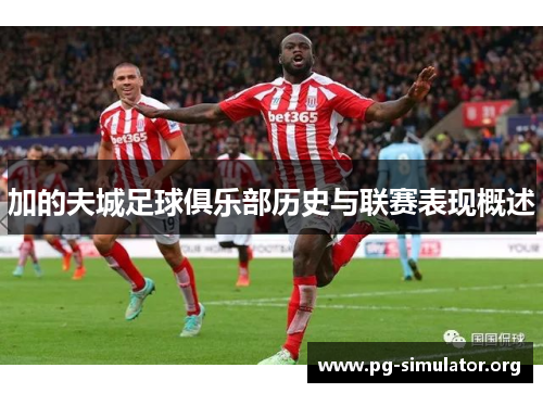 加的夫城足球俱乐部历史与联赛表现概述