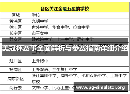 美冠杯赛事全面解析与参赛指南详细介绍